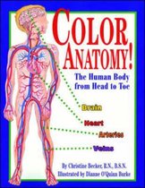 Color Anatomy! Soft