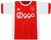 Vlag Ajax groot shirt