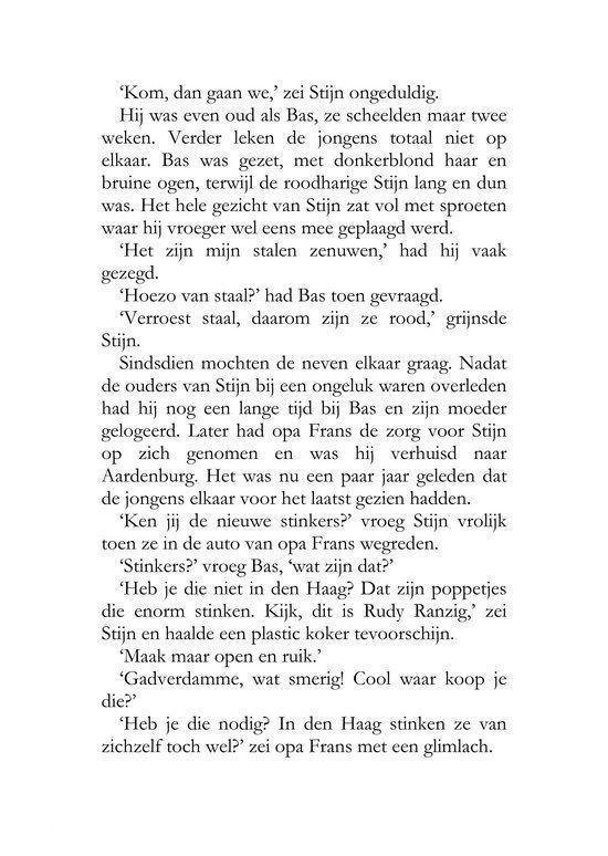 Pagina met tekst over Bas en Stijn die elkaar ontmoeten en over een auto praten.