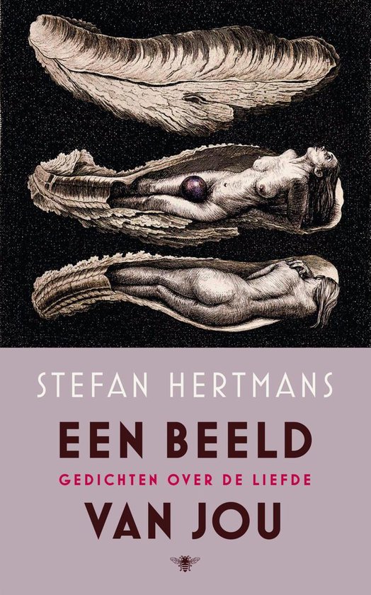 Een beeld van jou - cover