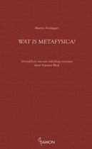 Heidegger-reeks  -   Wat is metafysica?