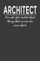 Architect - one who gets excited about things that no one else cares about