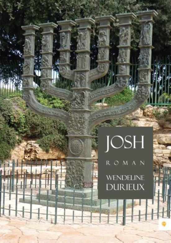 Cover van het boek 'Josh'