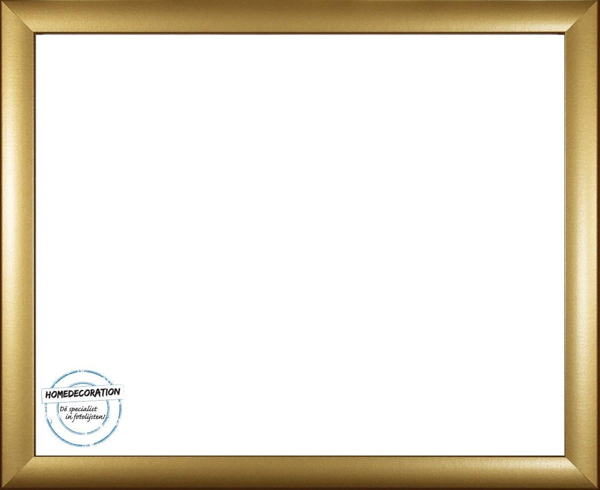 Homedecoration Colorado – Fotolijst – Fotomaat – 24 x 48 cm – goud mat op Prijzenvolger.com