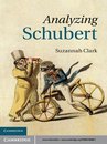 Analyzing Schubert