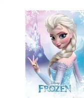 Frozen Elsa Maxi poster