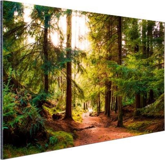 Aluminium schilderij 120x90 cm - Wanddecoratie metaal - Bos - Pad - Bomen - Groen - Zon - Natuur - Metalen muurdecoratie woonkamer - Decoratie industrieel - Foto op dibond - Industriële accessoires slaapkamer