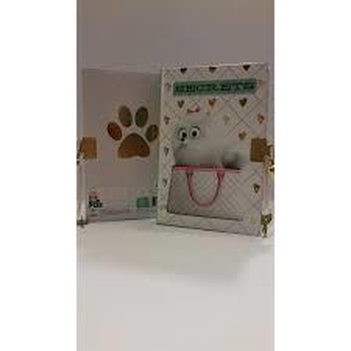 The Secret Life of Pets - dagboek los