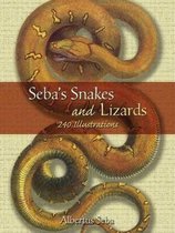 Seba'S Snakes And Lizards