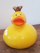 Spaarpot duck