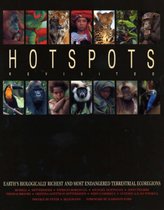 Hotspots Revisited