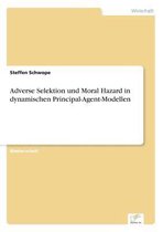 Adverse Selektion und Moral Hazard in dynamischen Principal-Agent-Modellen
