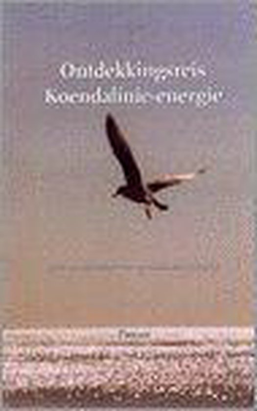 Ontdekkingsreis Koendalinie-energie - cover