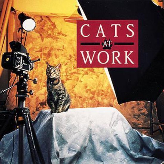 Working Cat - cover