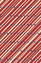 Patriotic Pattern - United States Of America 49
