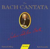 Bach Kantate, Vol. 28