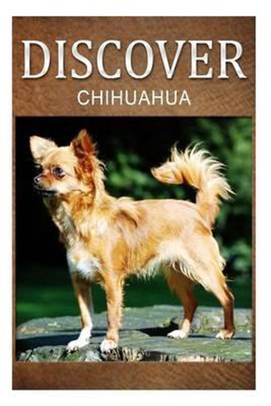 Chihuahua - Discover - cover