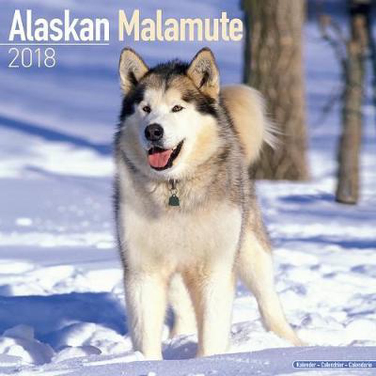 Alaskan Malamute Kalender 2018