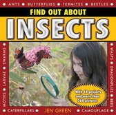 Find Out About Insects