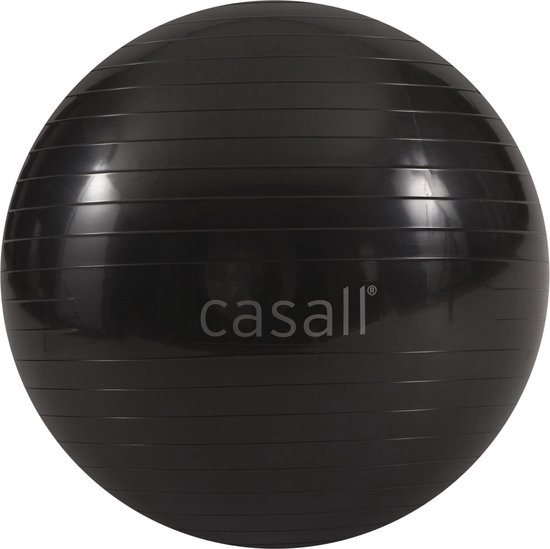 Casall Gym ball 80cm | bol.com