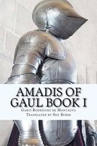 Amadis of Gaul Book I