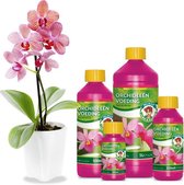 Wilma Orchid food 1 ltr