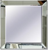 Spiegel met Spiegelrand 50x50 - zilver / Grijs metalic