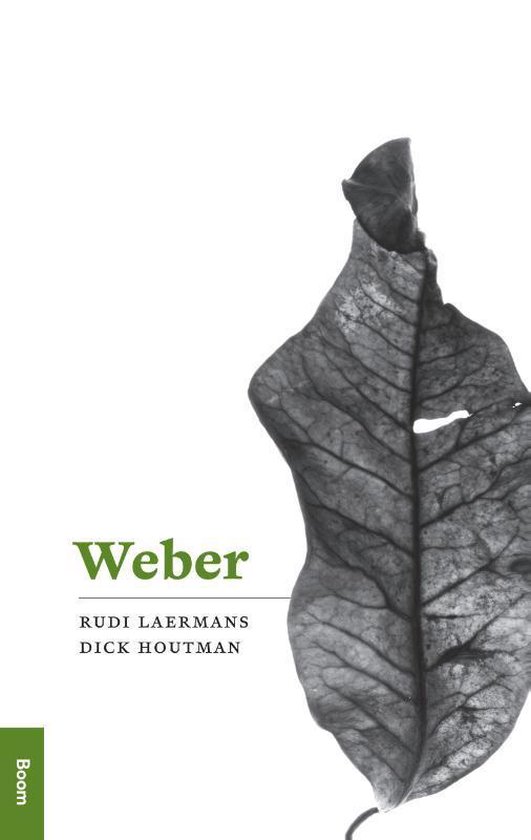 Profielen - Weber - Rudi Laermans | Northernlights300.org