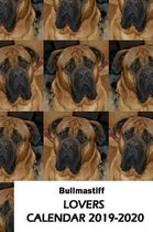 Bullmastiff Lovers Calendar 2019-2020