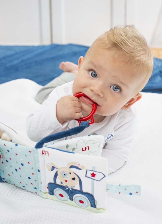 Baby met blauwe ogen sabbelt op een rood bijtspeeltje bij een stoffen boekje met hond in auto.