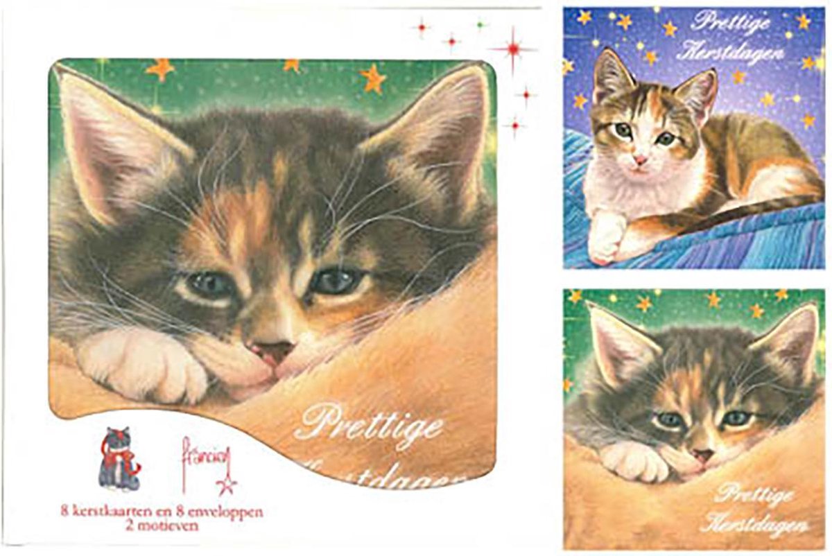 16 Kerstkaarten Franciens Katten 4 2 Doosjes 4 motieven