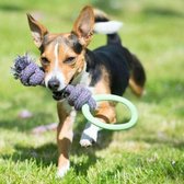 Speeltouw voor pups met bijtring - Zacht, Flexibel & Milieuvriendelijk - Beco Pets BecoHoop - Groen, Blauw of Roze in maat S/L - Kleur: Groen, Maat: Small