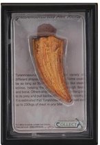 Collecta Prehistorie: Tand Van T-rex 11,5 Cm Oranje