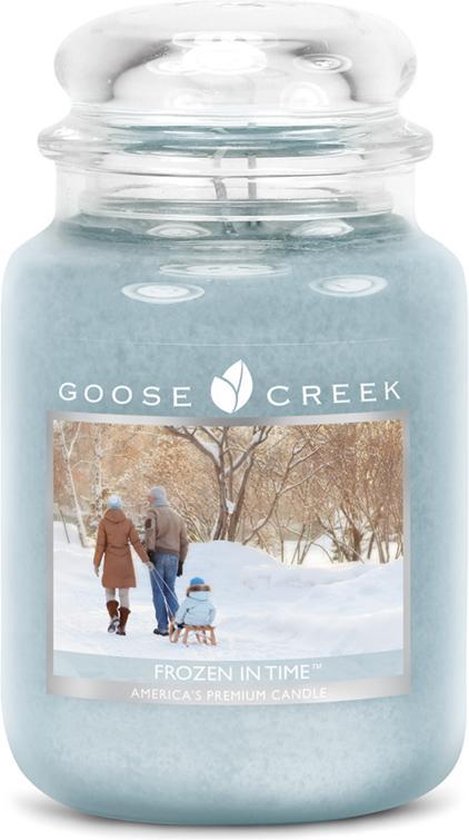 Goose Creek Frozen in Time