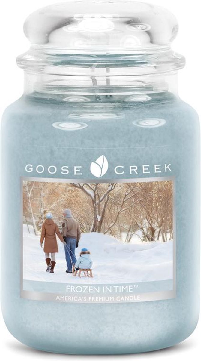 Goose Creek Frozen in Time