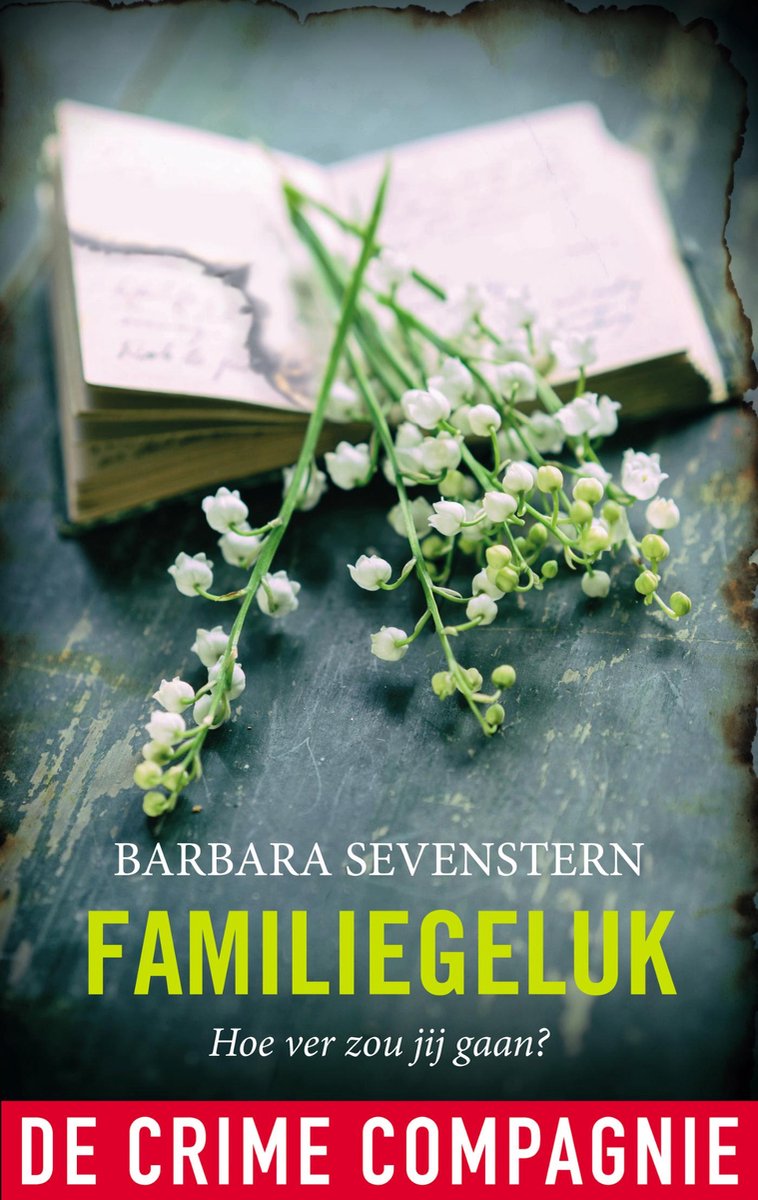 Omslag van Familiegeluk