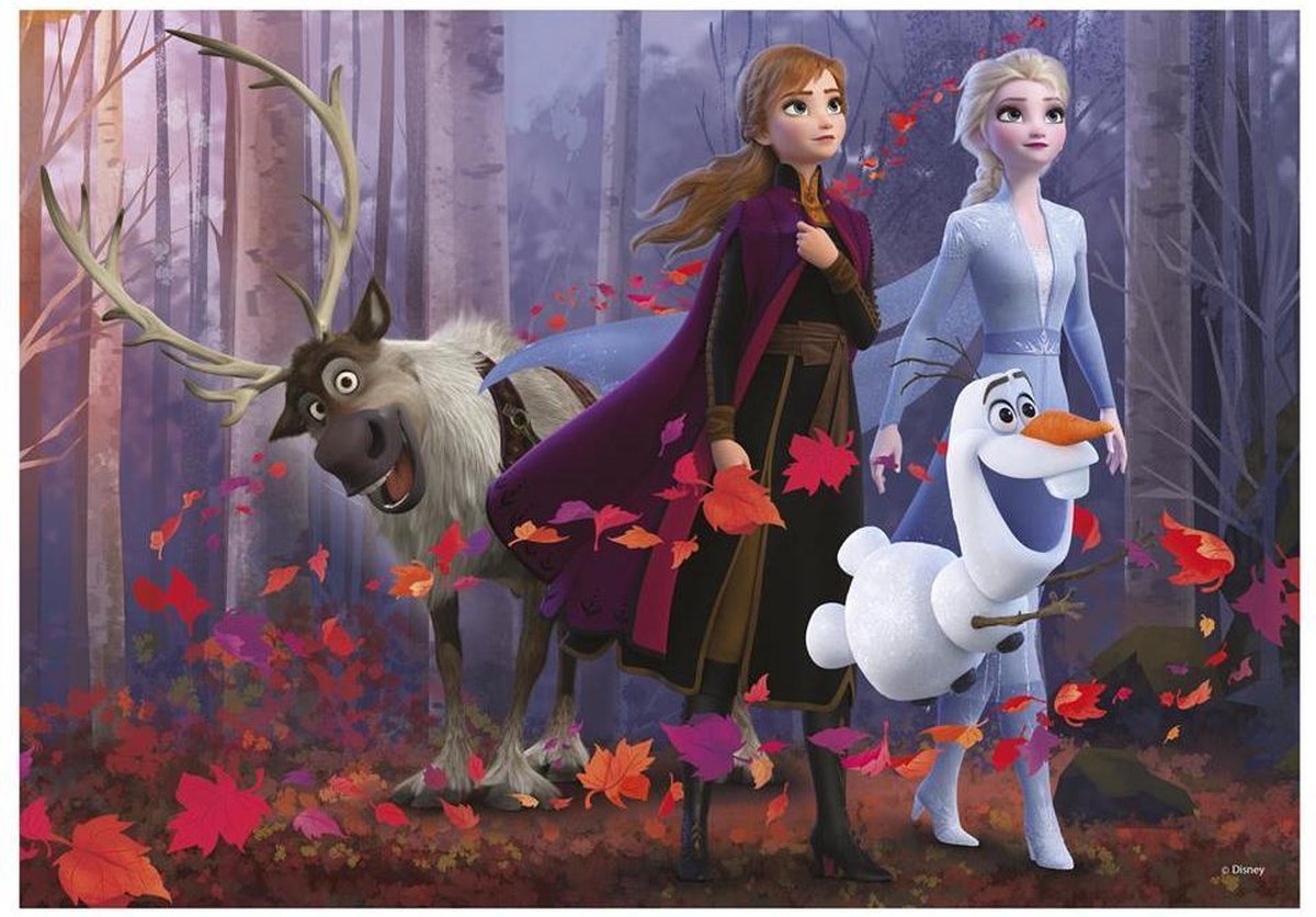 Disney Frozen 2 - Puzzel 300 stukjes van Dino | bol.com