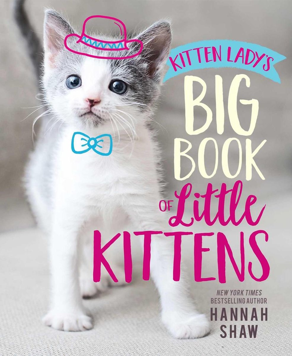 Kitten Lady's Big Book of Little Kittens (ebook), Hannah Shaw