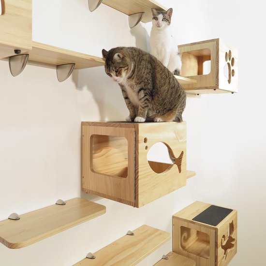Katten klimmuur box – CatsClimber | bol.com