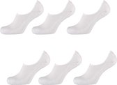 Apollo 6P Invisible Sneakersokken Wit - Maat 36-41