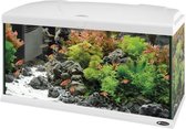 Ferplast capri aquarium wit 80x31,5x46,5 cm