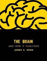 The Brain and how it Functions