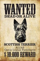 Wandbord - Wanted Dead Or Alive Scottish Terrier -20x30cm-