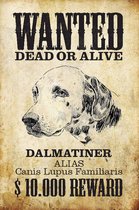 Wandbord - Wanted Dead Or Alive Dalmatiner -20x30cm-