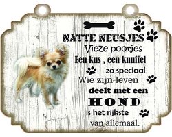 Spreukenbordje hond: Chihuahua