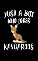 Just A Boy Who Loves Kangaroos