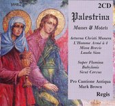 Palestrina/Masses & Motets