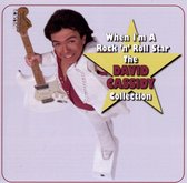 When I'm a Rock 'n' Roll Star: The David Cassidy Collection