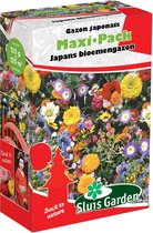 Sluis Garden - Japans bloemengazon Maxi-Pack Bloemenmengsel