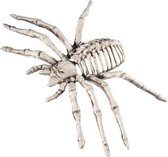 Halloween - Spin skelet halloween/horror decoratie 22 cm